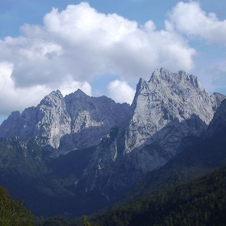 Appartement Lisa Schweiger Kirchberg en Tyrol Extérieur photo