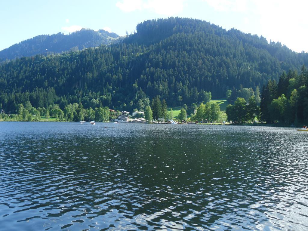 Appartement Lisa Schweiger Kirchberg en Tyrol Extérieur photo
